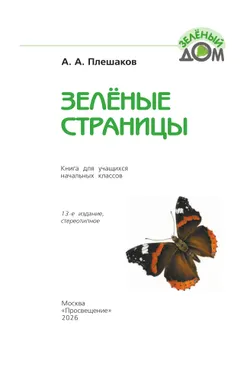 Зелёные страницы 23