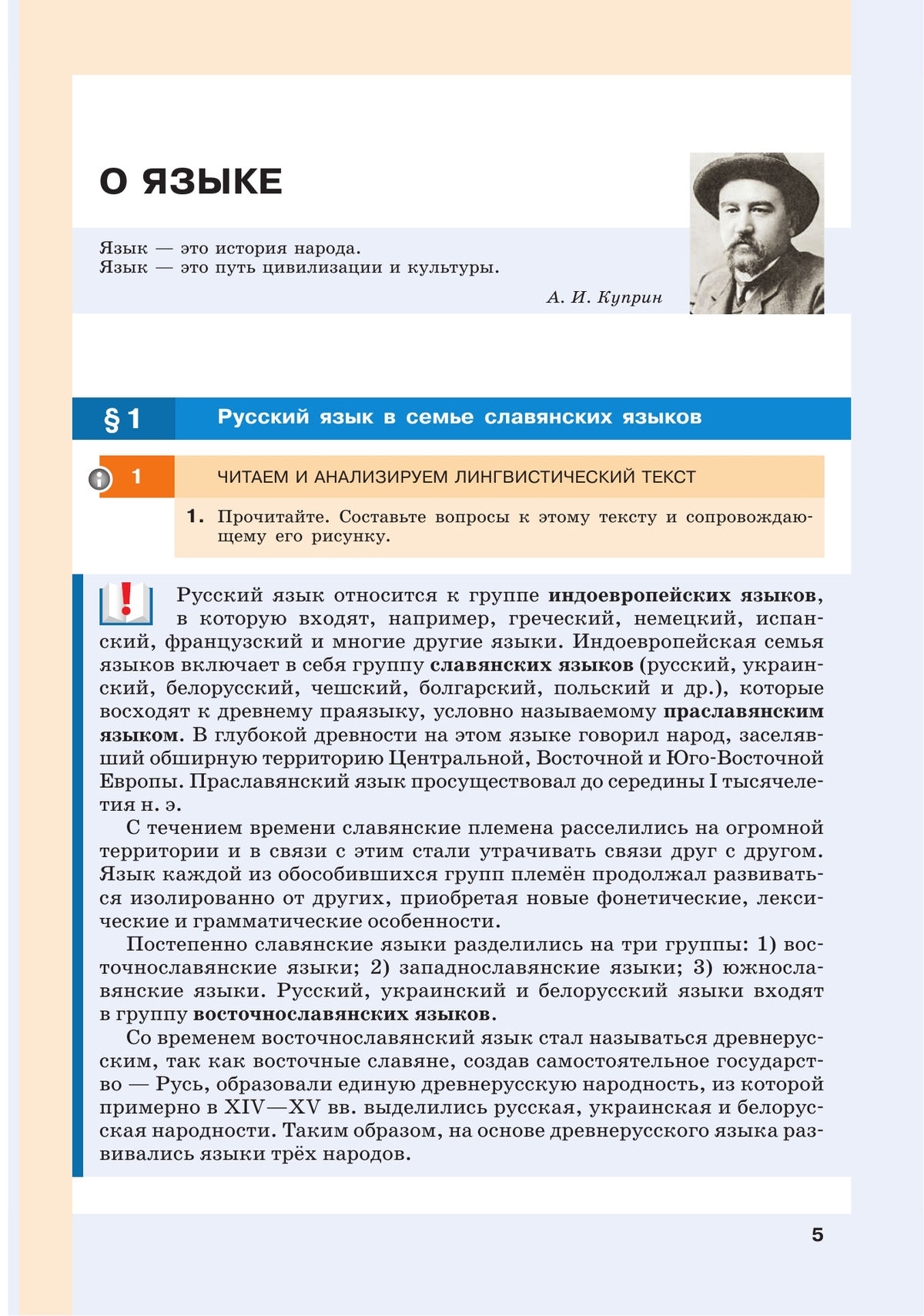 Русский язык. 8 класс. Учебник 8