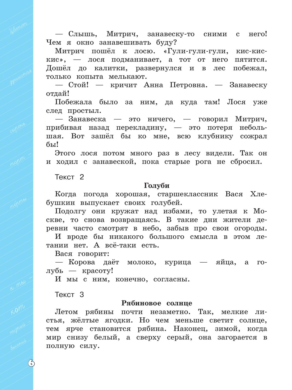 Языковая грамотность. Русский язык. Развитие. Диагностика. 4 класс 2