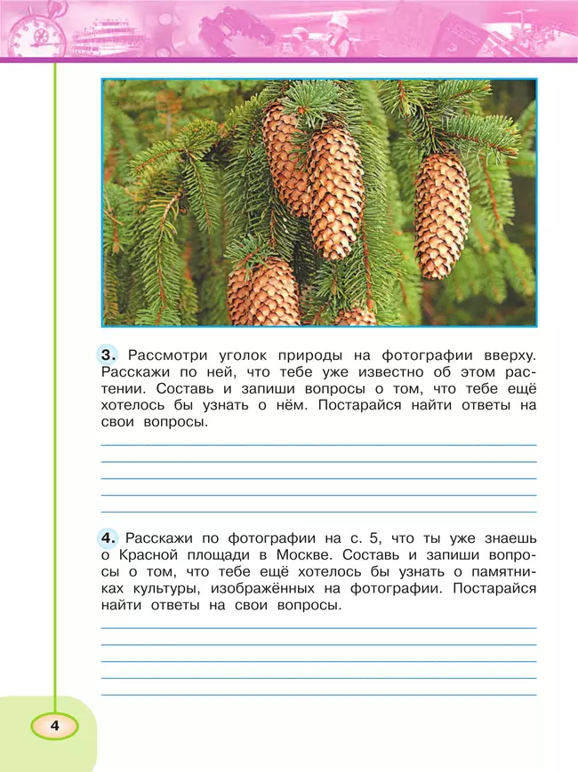 Окружающий мир. Рабочая тетрадь. 3 класс. В 2 частях. Часть 1 19