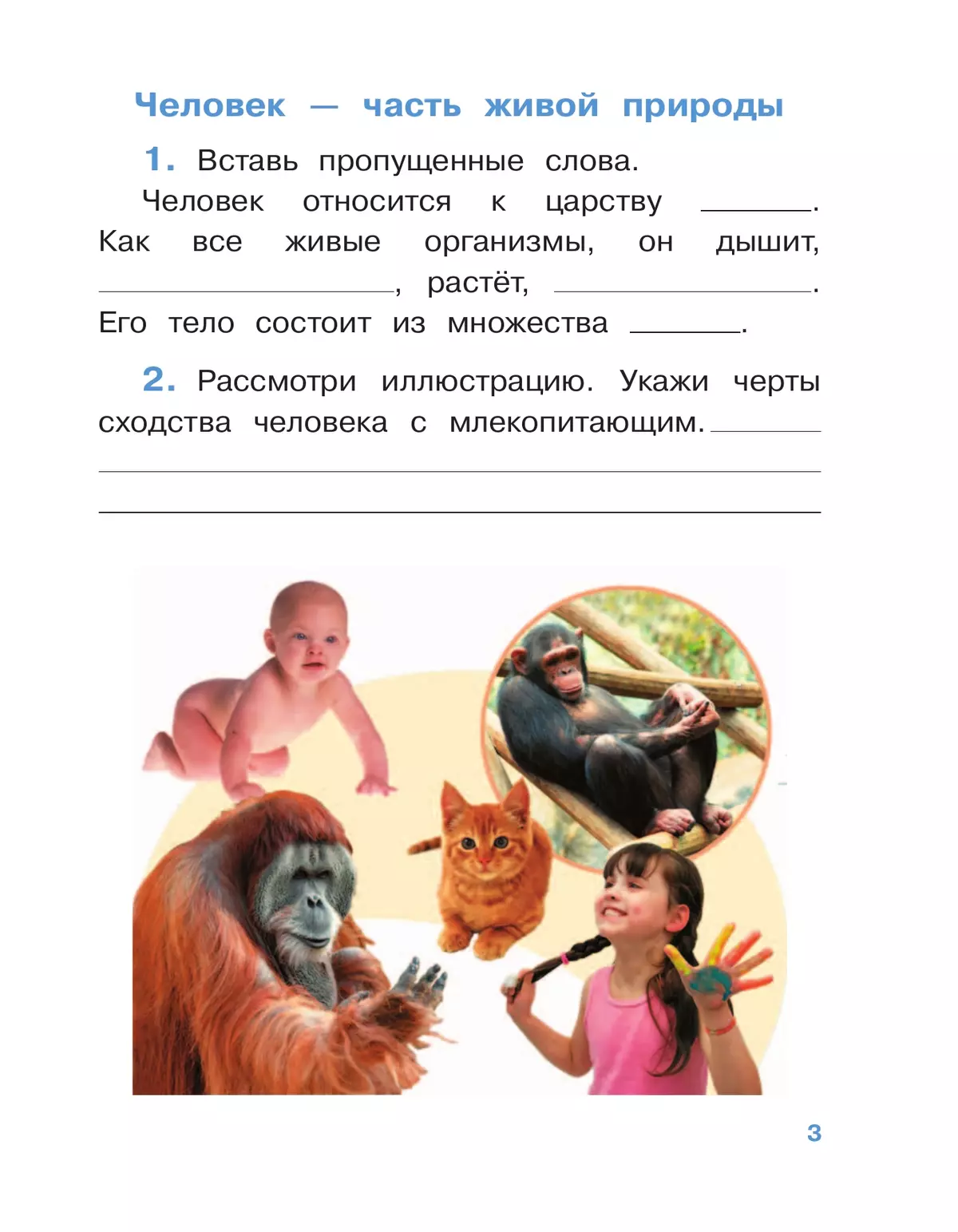 Окружающий мир. 4 класс. Рабочая тетрадь. В 2 частях. Часть 1 29