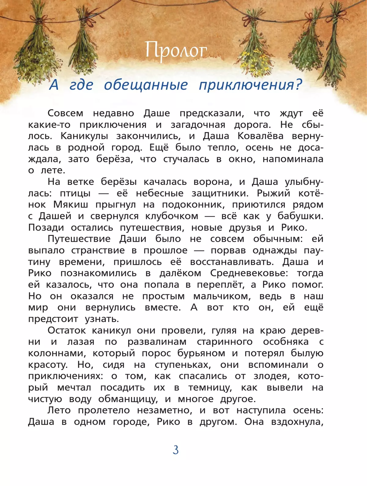 Подарок ведьме 13