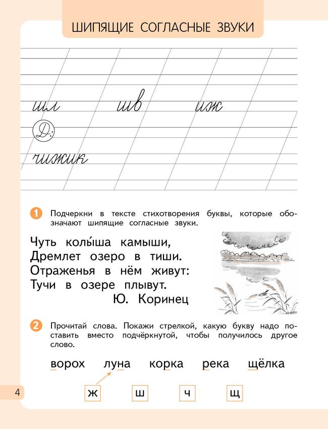 Русский язык. 1 класс. Рабочая тетрадь. В 2 частях. Часть 2 6