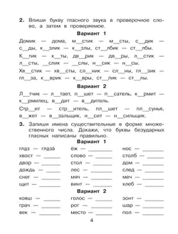 Безударные гласные, проверяемые ударением. Тренажёр по русскому языку для учащихся 2-4 классов. Полуянова О.Д., Полуянов С.А. 9