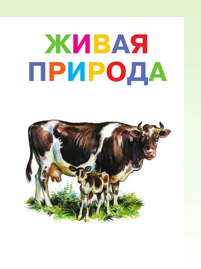 Мир природы и человека. 1 класс. Учебник. В 2 частях. Часть 2 (для обучающихся с интеллектуальными нарушениями) 16 Мир природы и человека. 1 класс. Учебник. В 2 частях. Часть 2 (для обучающихся с интеллектуальными нарушениями) 16