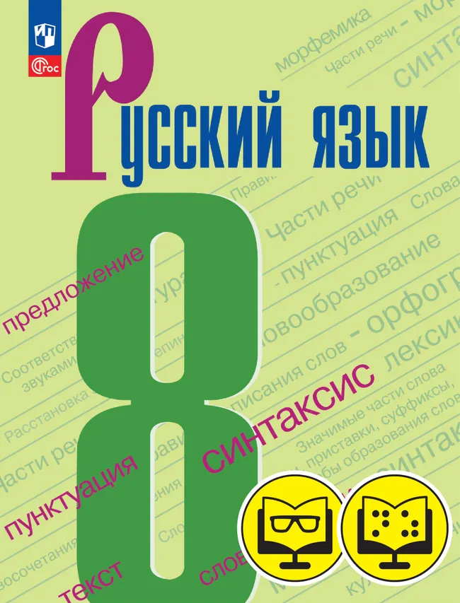 Русский язык. 8 класс. (для обучающихся с нарушением зрения) 1