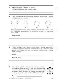 Метапредметные результаты. Стандартизированные материалы для оценки читательской грамотности. 5 класс. Варианты 1-4 16