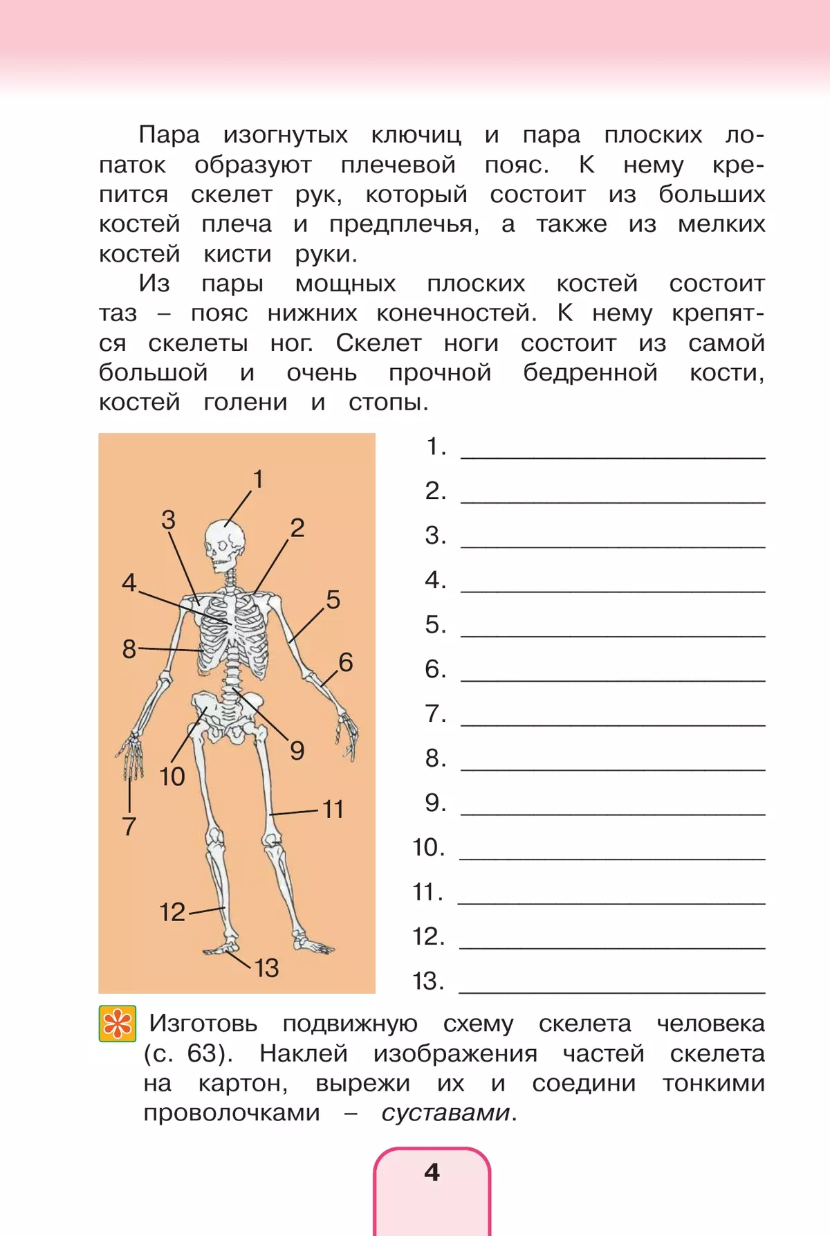Окружающий мир. Рабочая тетрадь. 3 класс. В 2 частях. Часть 2 41