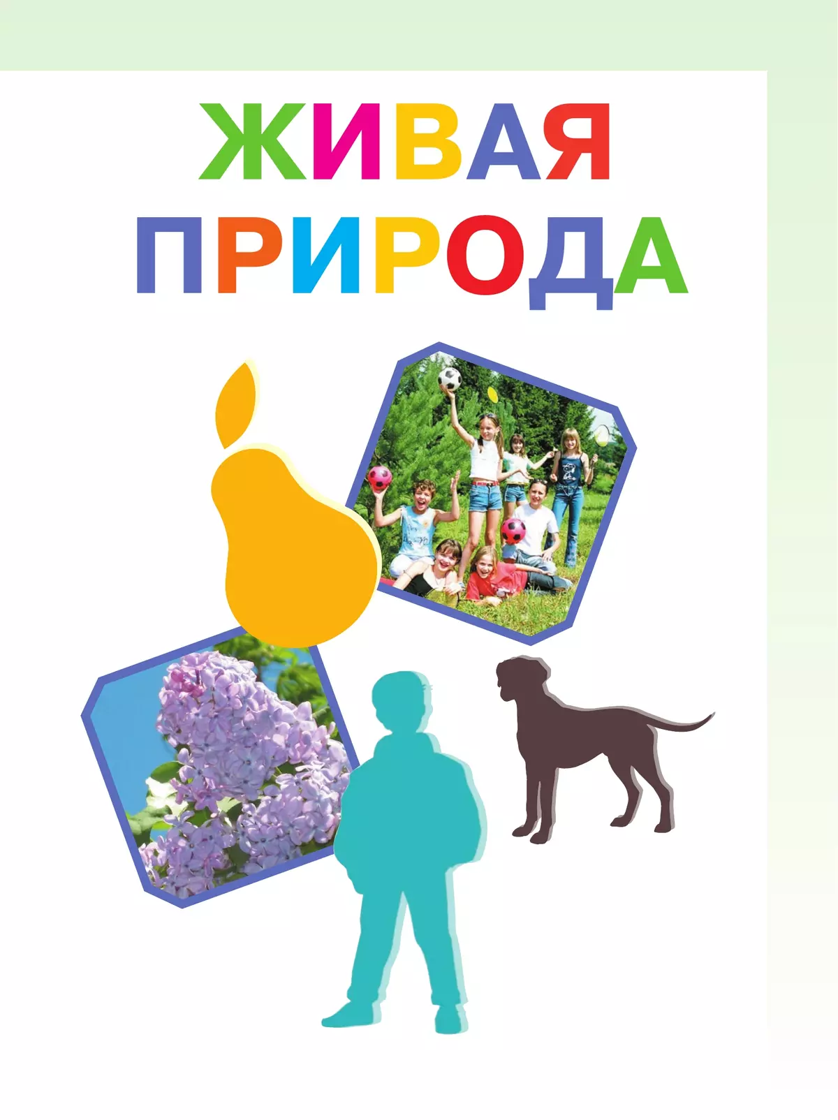 Мир природы и человека. 4 класс. Учебник. В 2 частях. Часть 2 (для обучающихся с интеллектуальными нарушениями) 9