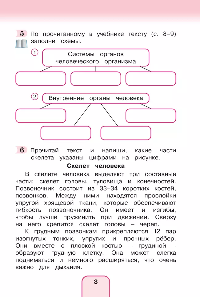 Окружающий мир. Рабочая тетрадь. 3 класс. В 2 частях. Часть 2 17 Окружающий мир. Рабочая тетрадь. 3 класс. В 2 частях. Часть 2 17
