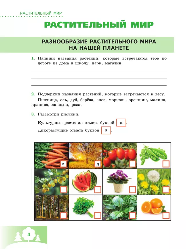 Природоведение. 6 класс. Рабочая тетрадь (для обучающихся с интеллектуальными нарушениями) 19 Природоведение. 6 класс. Рабочая тетрадь (для обучающихся с интеллектуальными нарушениями) 19