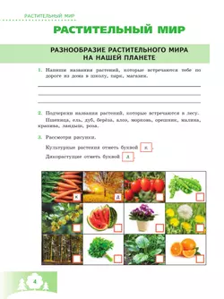 Природоведение. 6 класс. Рабочая тетрадь (для обучающихся с интеллектуальными нарушениями) 19