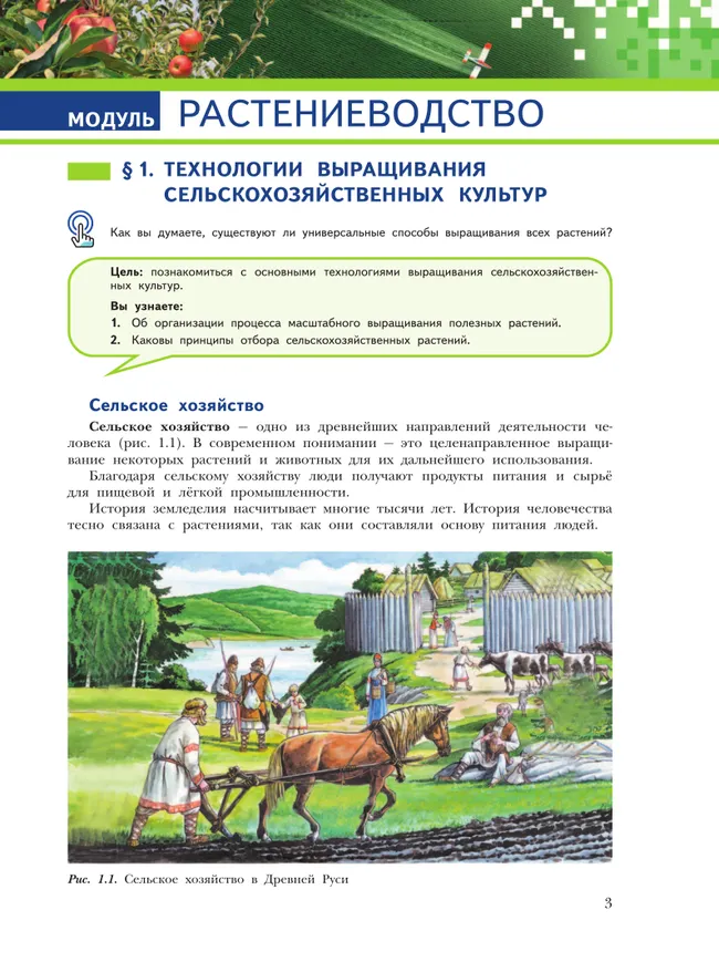 Труд (технология). Растениеводство и животноводство. 7-8 классы. Учебное пособие 29 Труд (технология). Растениеводство и животноводство. 7-8 классы. Учебное пособие 29
