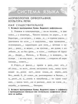 Русский язык. 6 класс. Рабочая тетрадь. Часть 2 18