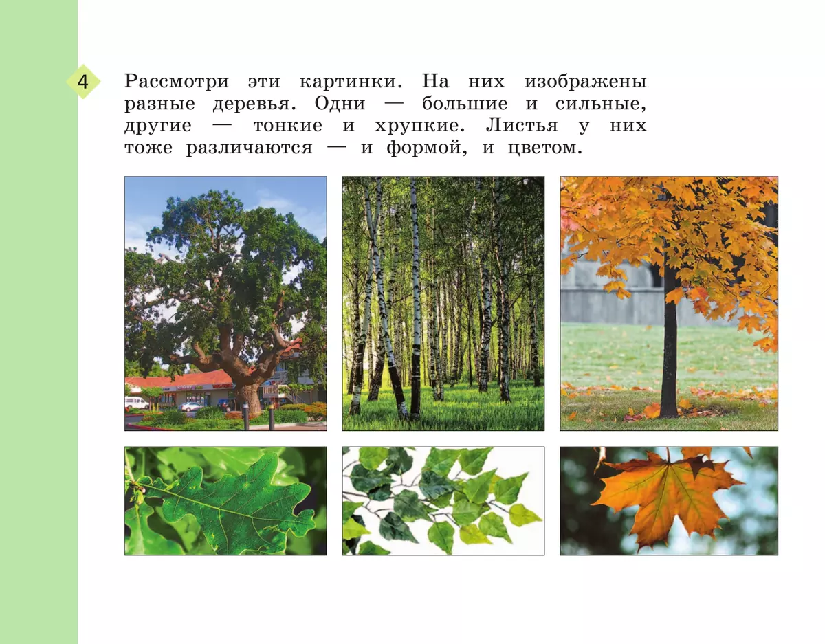 Рабочий альбом по изобразительному искусству. 1 класс 1