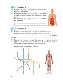 Окружающий мир. 3 класс Рабочая тетрадь в 2-х частях. Ч. 2 12