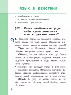 Русский родной язык. 3 класс. Учебное пособие. В 3 ч. Часть 3 (для слабовидящих обучающихся) 13