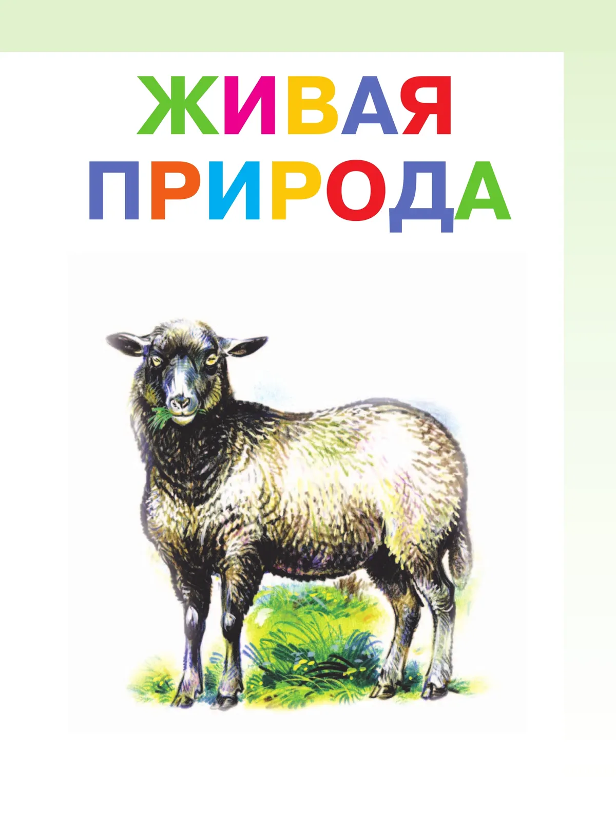 Мир природы и человека. 2 класс. Учебник. В 2 частях. Часть 2 (для обучающихся с интеллектуальными нарушениями) 38