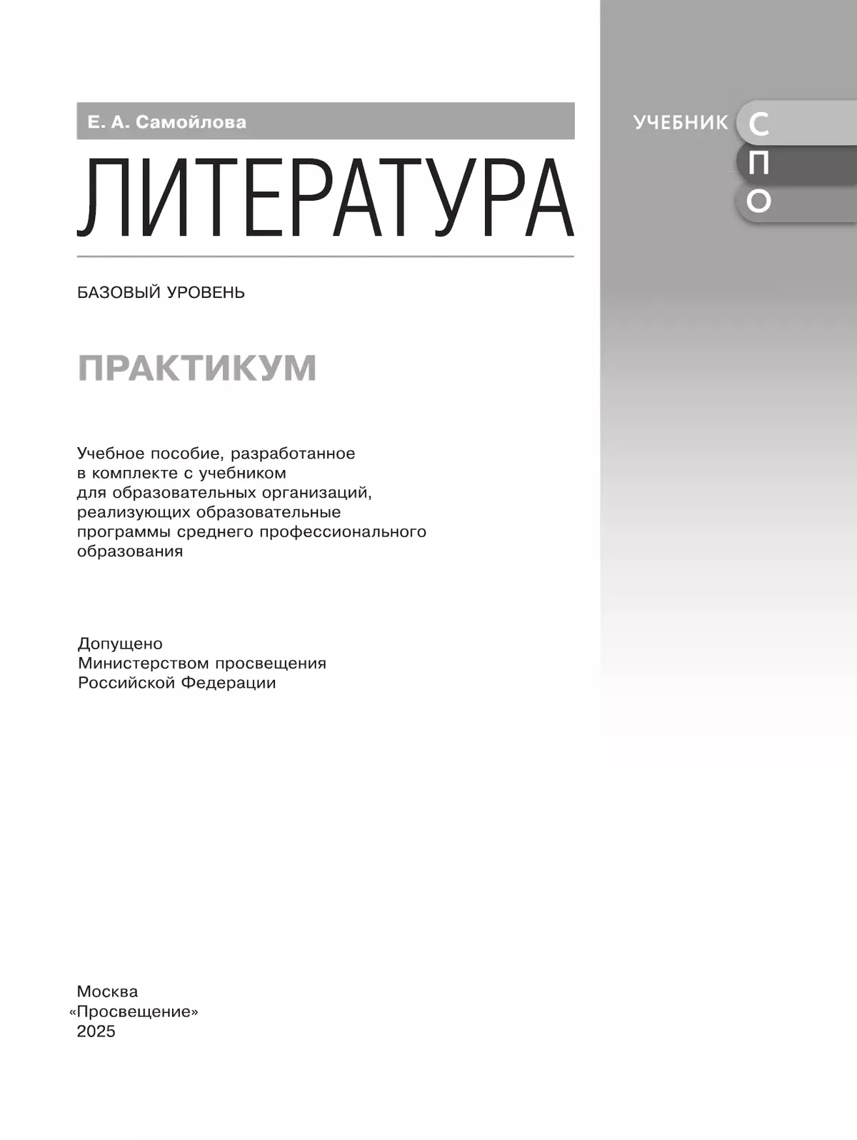 Литература. Базовый уровень. Практикум. Учебное пособие для СПО 12