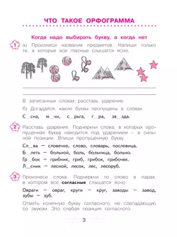 Русский язык. Я пишу грамотно. 2 класс. Формирование и мониторинг орфографической грамотности 12