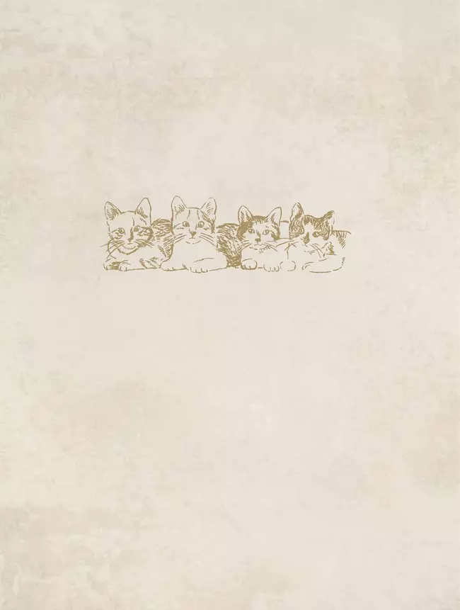 Пушистые и веселые истории о котах и кошках 49