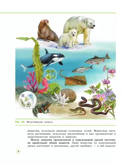 Естествознание 5 класс. Учебник. 2 часть 43