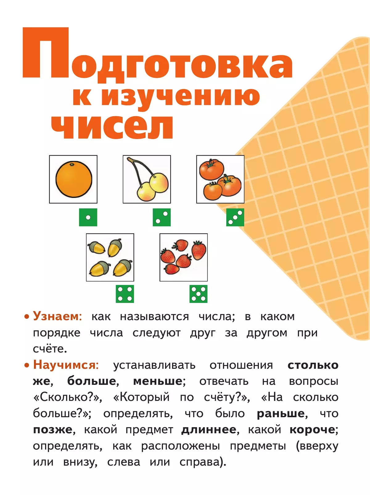 Математика. 1 класс. Учебное пособие. В 4 ч. Часть 1 (для слабовидящих обучающихся) 16