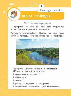 Естествознание. Азбука экологии. 1 класс. Учебник 12