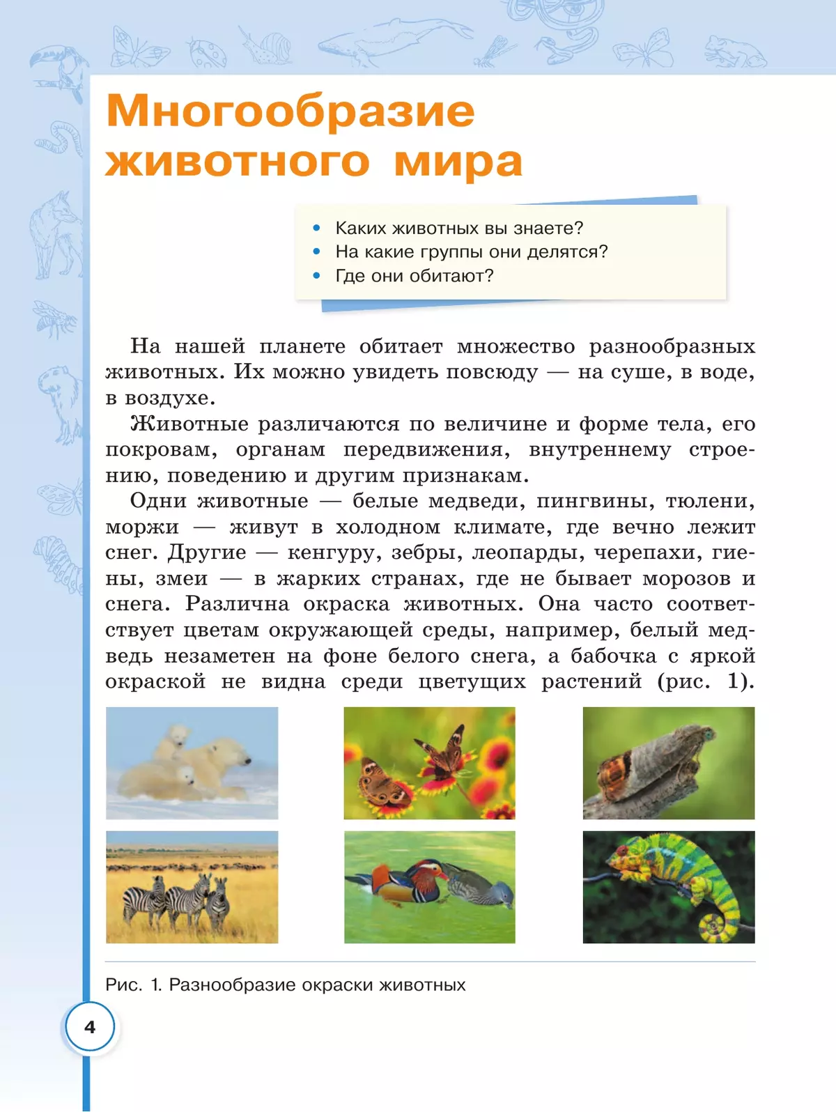 Биология. 8 класс. Учебное пособие (для обучающихся с интеллектуальными нарушениями) 40