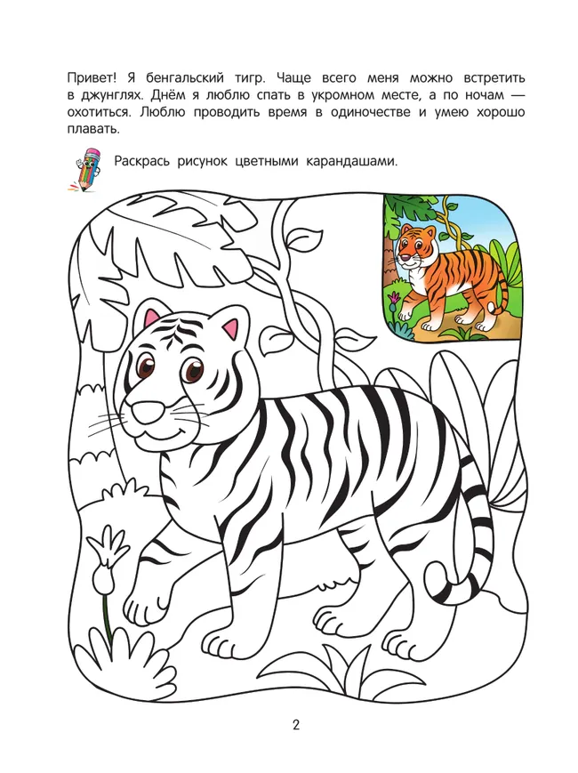 Джунгли. Познавательная раскраска. 4+ 35