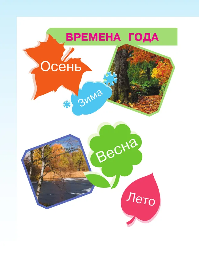 Мир природы и человека. 3 класс. Учебник. В 2 частях. Часть 1 (для обучающихся с интеллектуальными нарушениями) 45