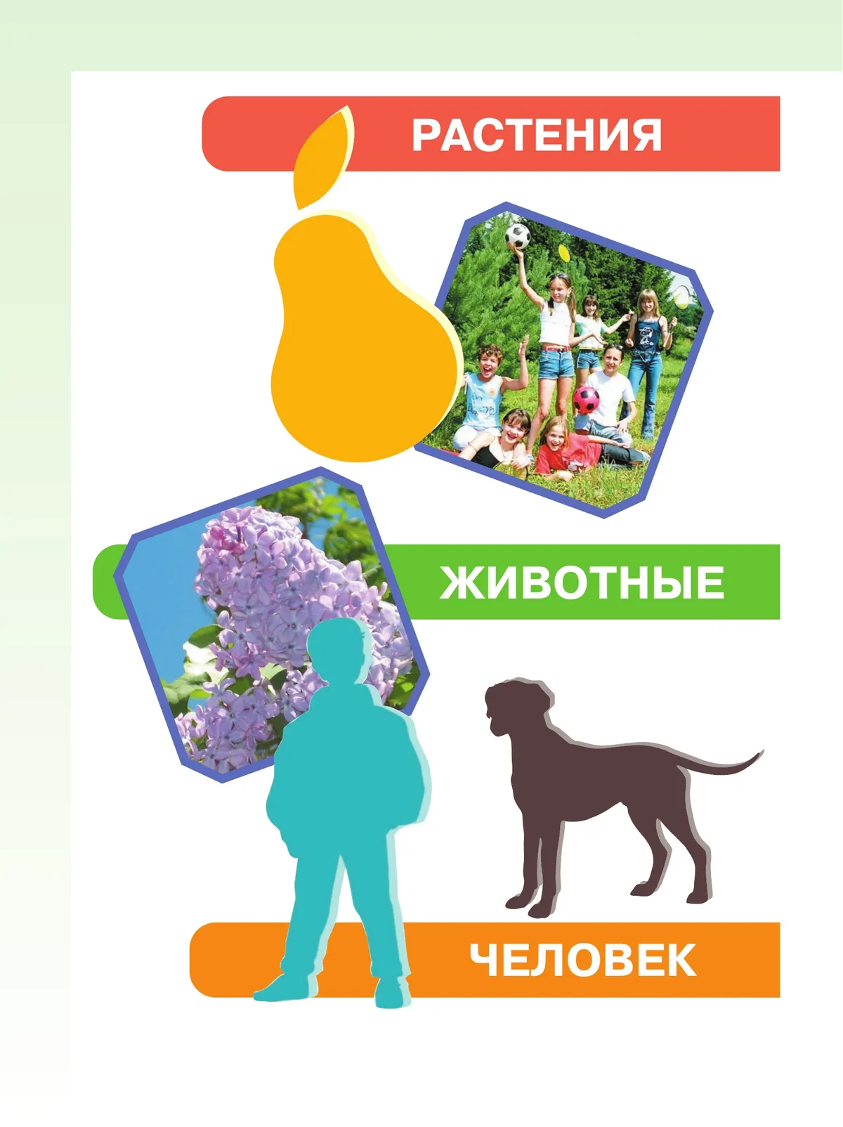Мир природы и человека. 3 класс. Учебник. В 2 частях.Часть 2 (для обучающихся с интеллектуальными нарушениями) 15 Мир природы и человека. 3 класс. Учебник. В 2 частях.Часть 2 (для обучающихся с интеллектуальными нарушениями) 15