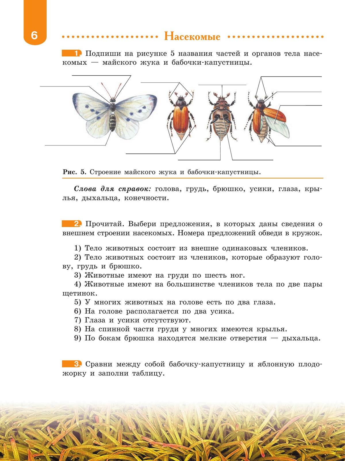 Биология. Животные. 8 класс. Рабочая тетрадь (для обучающихся с интеллектуальными нарушениями) 5