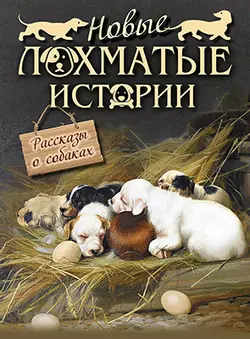 Новые лохматые истории. Рассказы о собаках 1