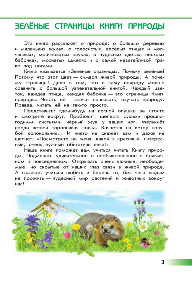 Зелёные страницы 43 Зелёные страницы 43