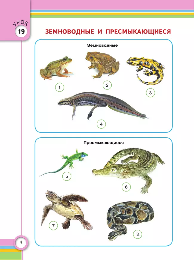 Окружающий мир. 4 класс. Учебник. В 2 частях. Часть 2. (для глухих и слабослышащих обучающихся) 5 Окружающий мир. 4 класс. Учебник. В 2 частях. Часть 2. (для глухих и слабослышащих обучающихся) 5
