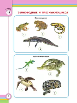 Окружающий мир. 4 класс. Учебник. В 2 частях. Часть 2. (для глухих и слабослышащих обучающихся) 5