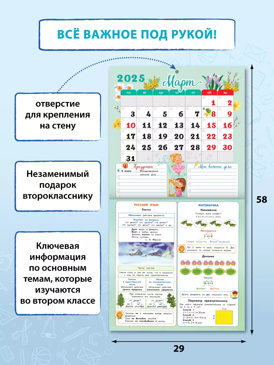 Календарь младшего школьника. 2 класс. 2024/2025 (с европодвесом) 4