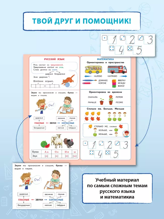 Календарь младшего школьника. 1 класс. 2024/2025 учебный год (с европодвесом) 19