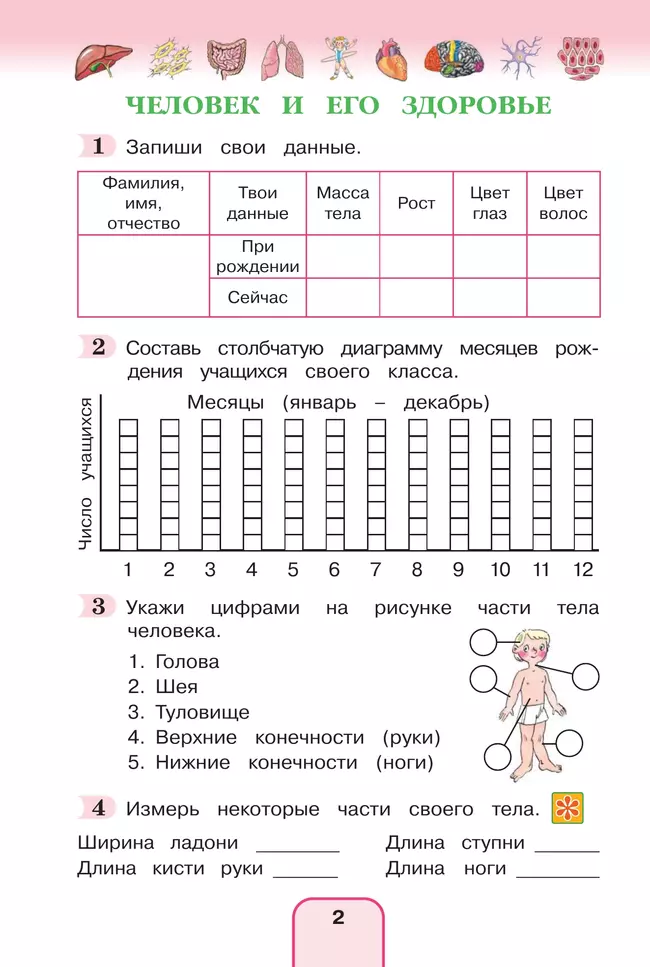 Окружающий мир. Рабочая тетрадь. 3 класс. В 2 частях. Часть 2 4 Окружающий мир. Рабочая тетрадь. 3 класс. В 2 частях. Часть 2 4