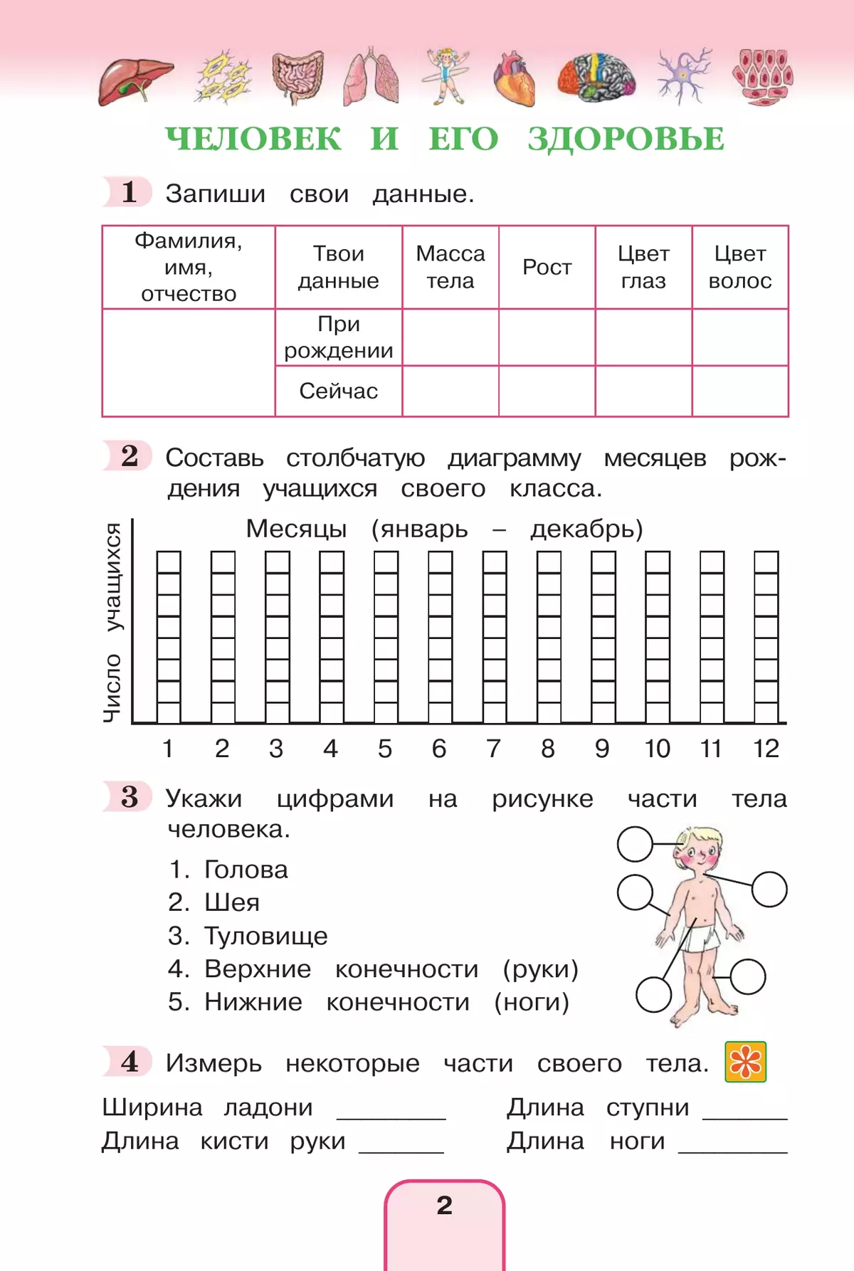Окружающий мир. Рабочая тетрадь. 3 класс. В 2 частях. Часть 2 4