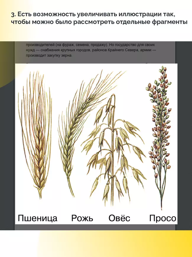 География. 9 класс (для обучающихся с нарушением зрения) 3