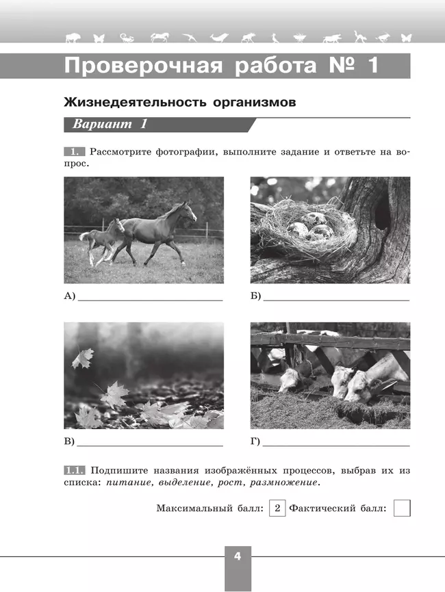 Биология. Проверочные работы в формате ВПР. 6 класс 12