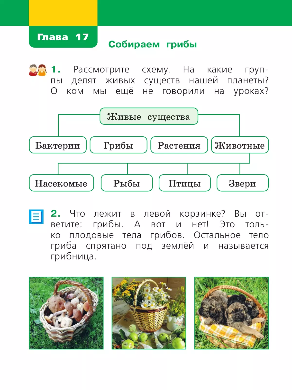 Окружающий мир. 1 класс. Учебное пособие. В двух частях. Часть 2 купить на  сайте группы компаний «Просвещение»