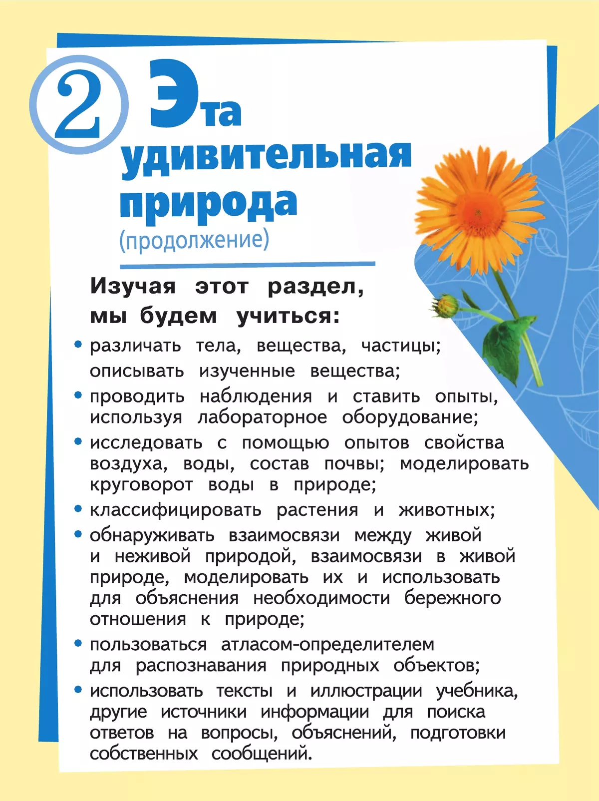 Окружающий мир. 3 класс. Учебное пособие. В 4 ч. Часть 2 (для слабовидящих обучающихся) 43