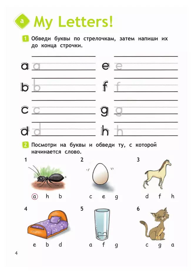 Английский язык. Рабочая тетрадь. 2 класс 13