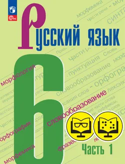 Русский язык. 6 класс. В 2 частях. Часть 1 (для обучающихся с нарушением зрения) 1
