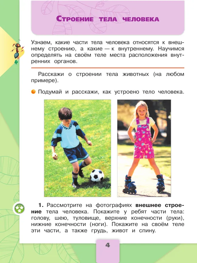 Окружающий мир. 2 класс. Учебник. В 2 ч. Часть 2 33 Окружающий мир. 2 класс. Учебник. В 2 ч. Часть 2 33