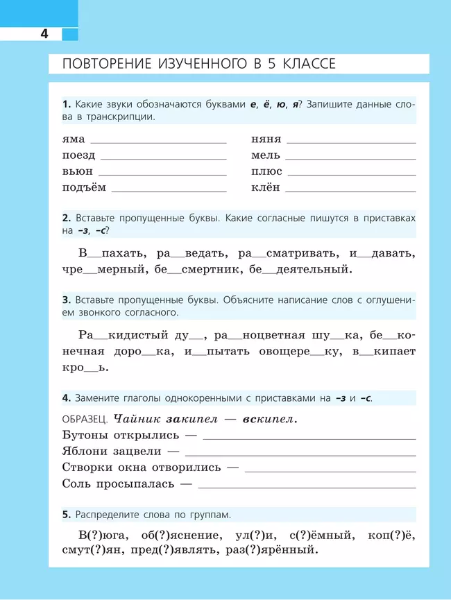 Русский язык. Рабочая тетрадь. 6 класс 41