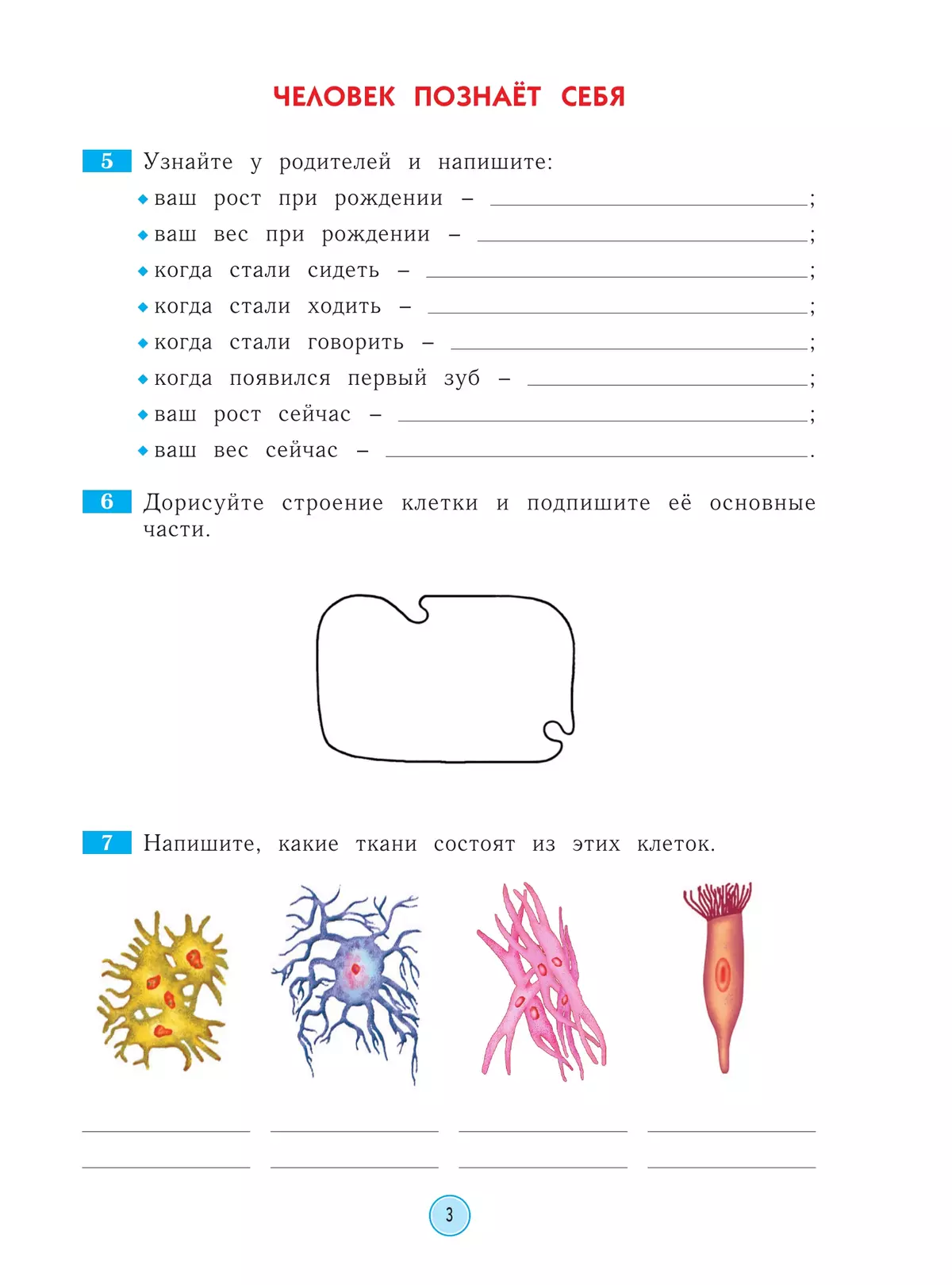 Окружающий мир. Рабочая тетрадь. 4 класс 37